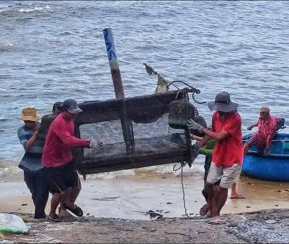 Bão Số 13