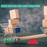 Cán cân xuất nhập khẩu là gì ? Cách tính cán cân, cơ cấu giá trị xuất nhập khẩu và ý nghĩa