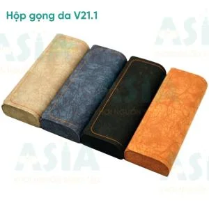 hop-v211-asia-4